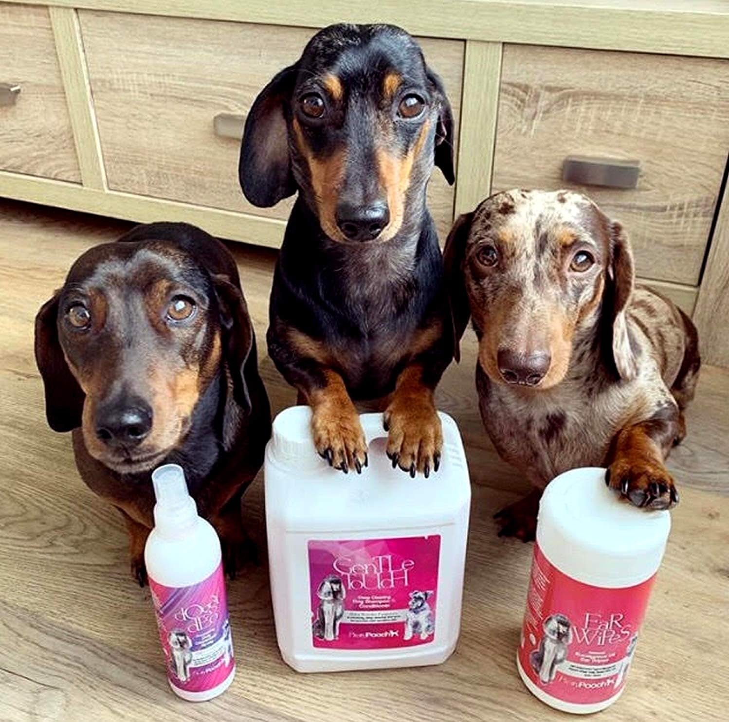 ® Gentle Touch Dog Shampoo & Conditioner - 2 Litres (Baby Powder Fragrance) - a Non-Itchy, Professional Deep Cleaning Shampoo for Dogs with Sensitive Skin! (2 Litre Baby Powder)