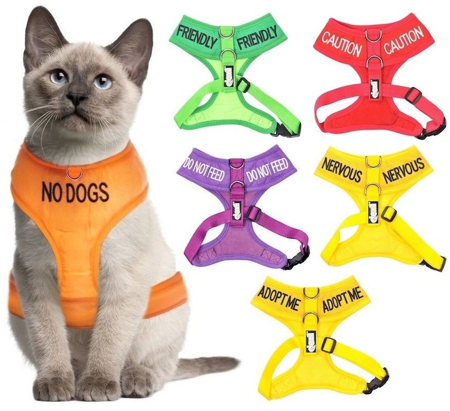 Non Pull Harness SERVICE DOG Blue Safety Heavy Duty Secure Harness or Lead Set