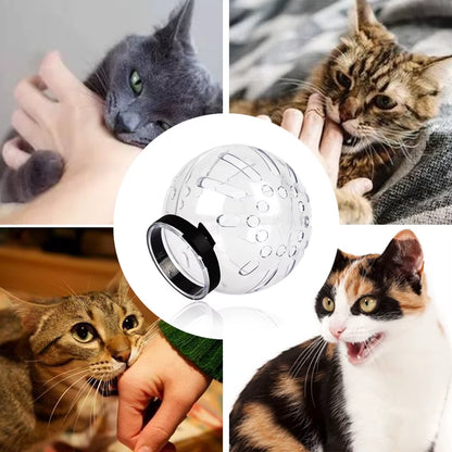 Cat Muzzle Anti-Bite Breathable Cat Grooming Supplies Grooming Mask Bath Grooming Anti-Licking Protective Space Hood