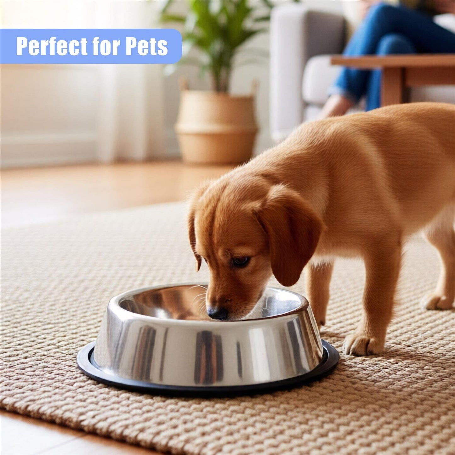 Stainless Steel Dog Bowl Large Non Slip Metal Food Water Rust Resistant 2 Pack