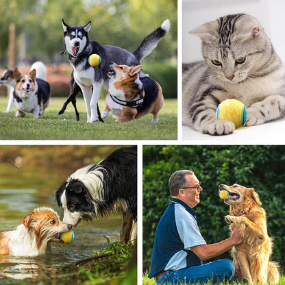 Scooby-Doo Durable Squeaky Set of 8 Dog Balls for Teeth Cleaning Interactive