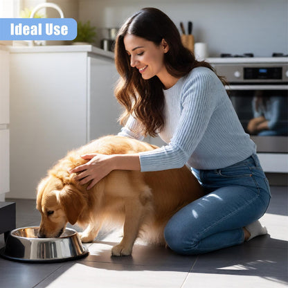 Stainless Steel Dog Bowl Large Non Slip Metal Food Water Rust Resistant 2 Pack