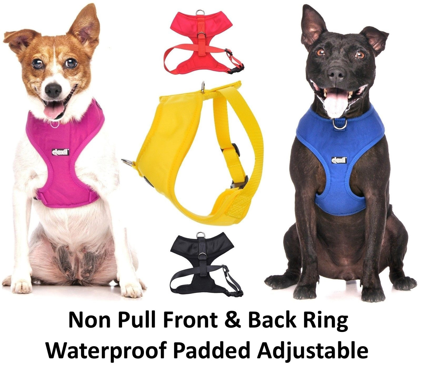 Non Pull Harness SERVICE DOG Blue Safety Heavy Duty Secure Harness or Lead Set