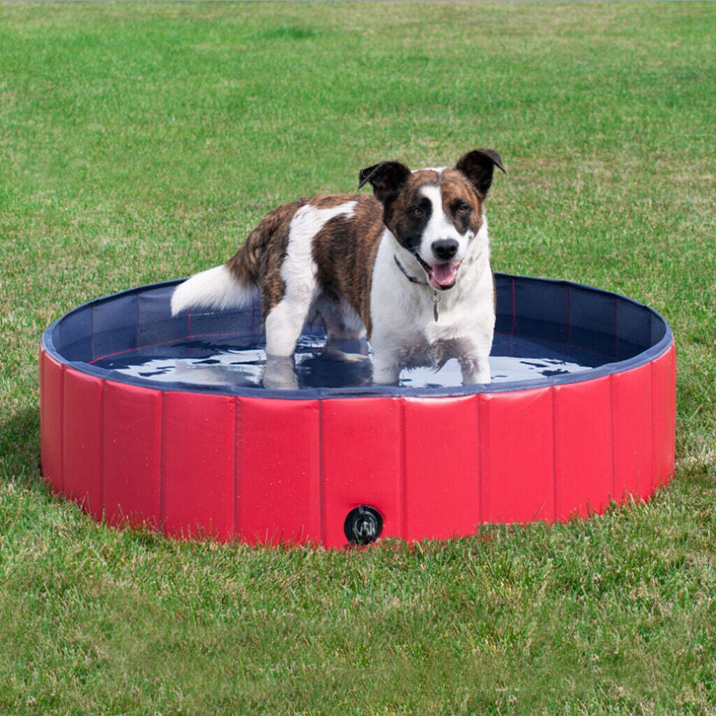 Large Pet Bath Pool Foldable Swimming Pool Dog Paddling Bathing Washer Tub Cool