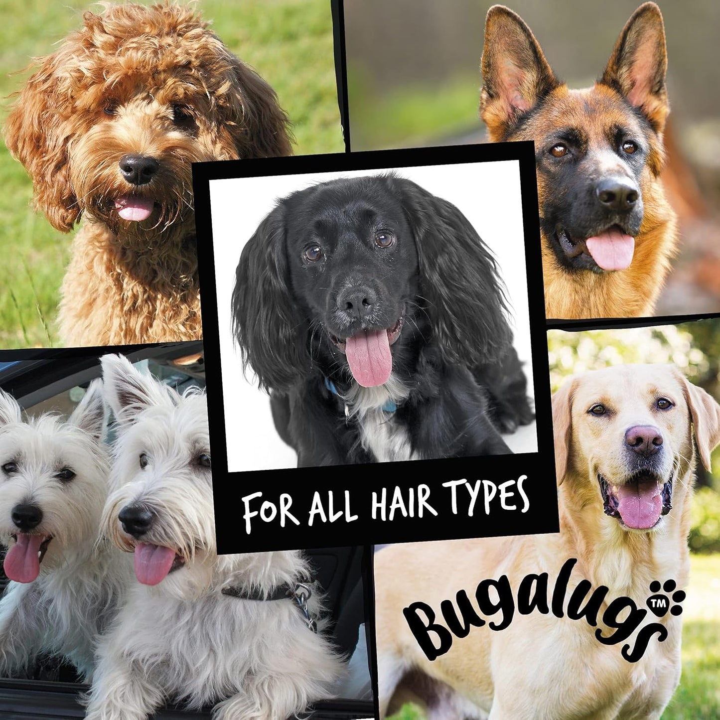 Dog Shampoo and Conditioner with Luxury 2 in 1 Papaya & Coconut Fragrance, Professional Puppy Shampoo Grooming Products for Smelly Dogs