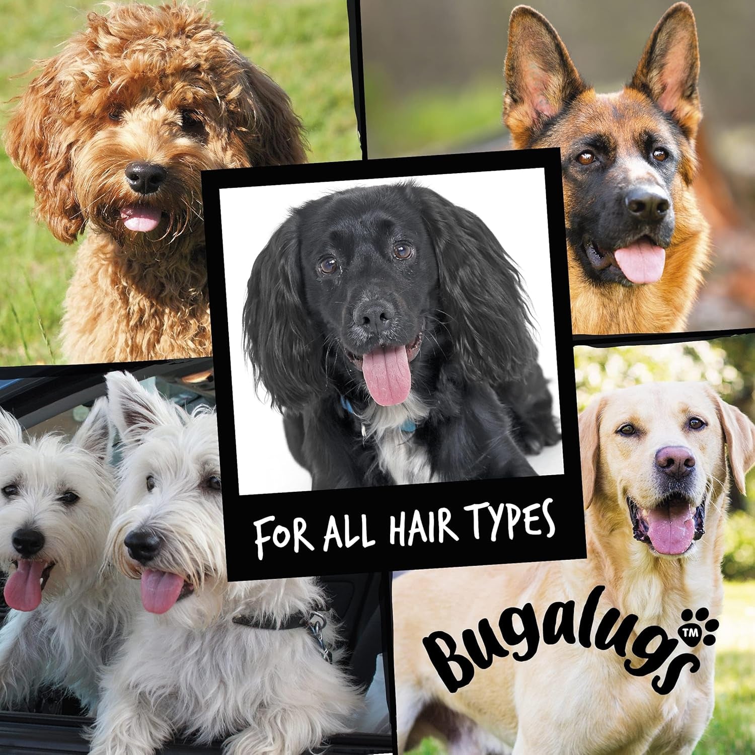 Dog Shampoo and Conditioner with Luxury 2 in 1 Papaya & Coconut Fragrance, Professional Puppy Shampoo Grooming Products for Smelly Dogs