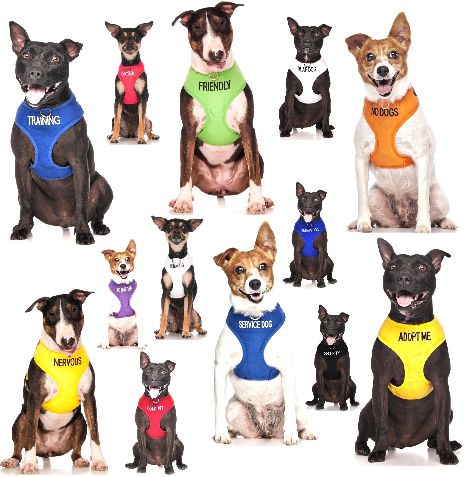 Non Pull Harness SERVICE DOG Blue Safety Heavy Duty Secure Harness or Lead Set
