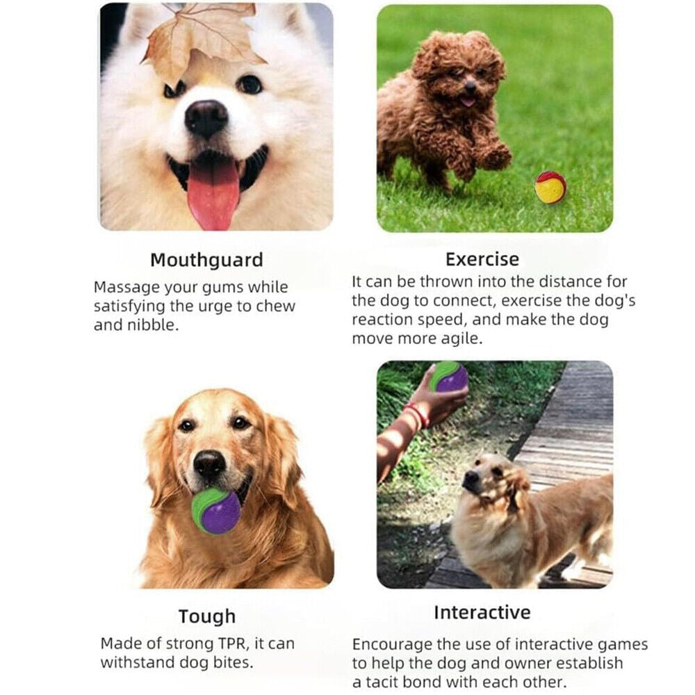 Scooby-Doo Durable Squeaky Set of 8 Dog Balls for Teeth Cleaning Interactive