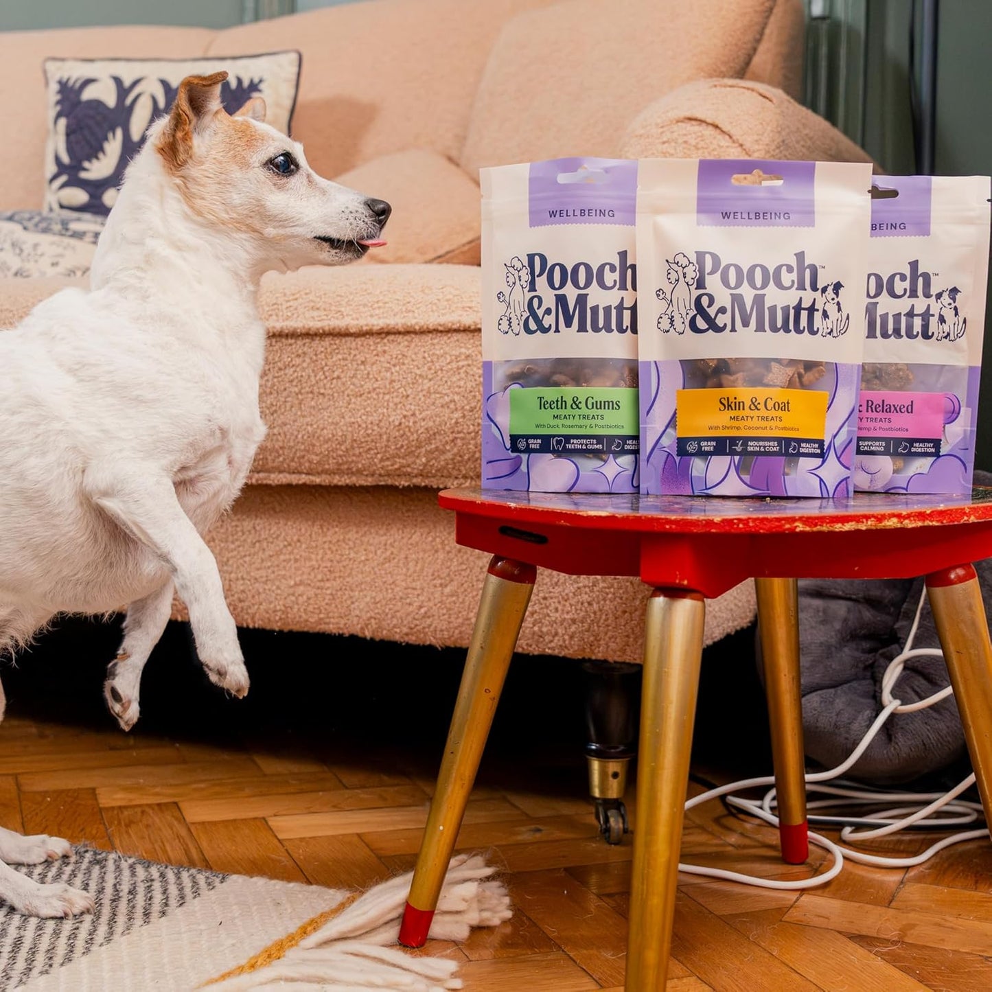- Meaty Dog Treats (Grain Free), Variety Set, Pack of 3X120G