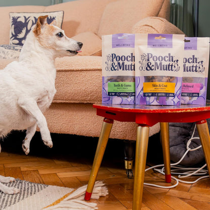 - Meaty Dog Treats (Grain Free), Variety Set, Pack of 3X120G