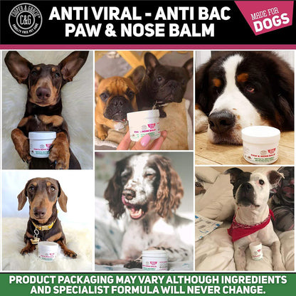 Cooper and Gracie Dog Paw and Nose Balm 100ML - Instantly Soothe Cracked, Itchy Skin and Paws | Antifungal, Cruelty-Free Formula | Best Grooming for Dogs