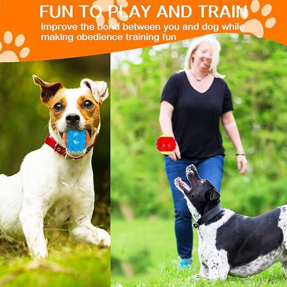 Scooby-Doo Durable Squeaky Set of 8 Dog Balls for Teeth Cleaning Interactive