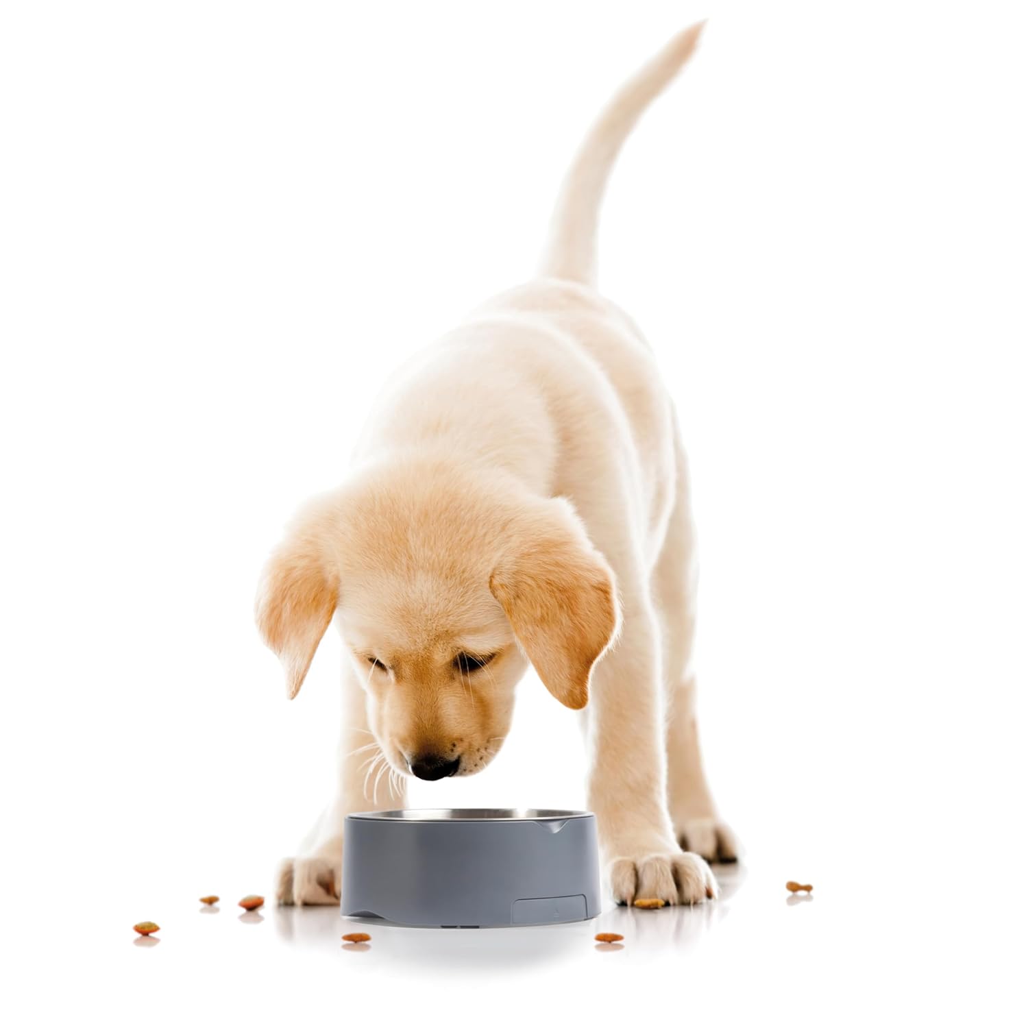 Digital Pet Food Scale – Smart Dog Bowl, Add & Weigh Tare Function, Measures Liquids, Pull Out LCD Display, Kitchen Food Weighing Bowl, 5 Kg Capacity, Stainless Steel Bowl, Cat Feeder, Grey