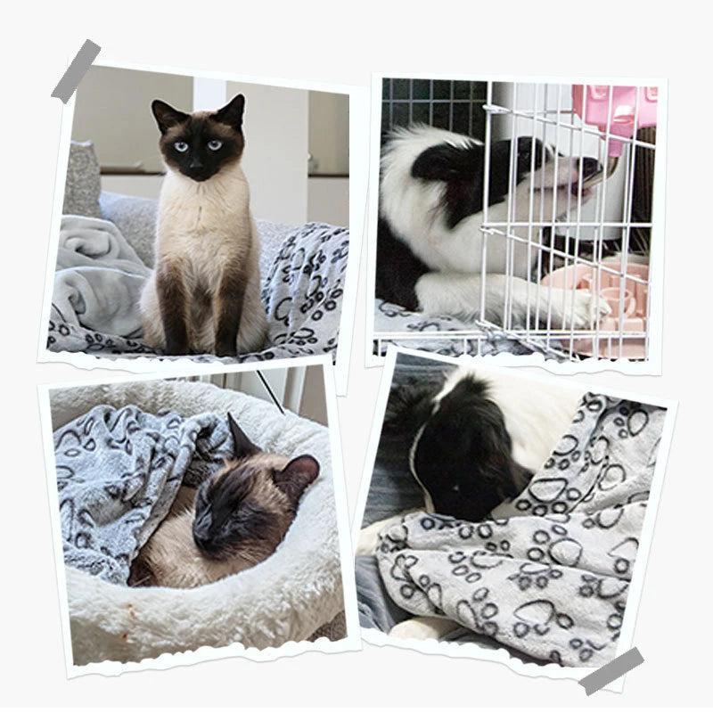 Pet Blanket Soft Fluffy Cute Cartoon Pattern Mat Pet Bed Dog Blanket Warm and Comfortable Blanket Suitable for Cats and Dogs