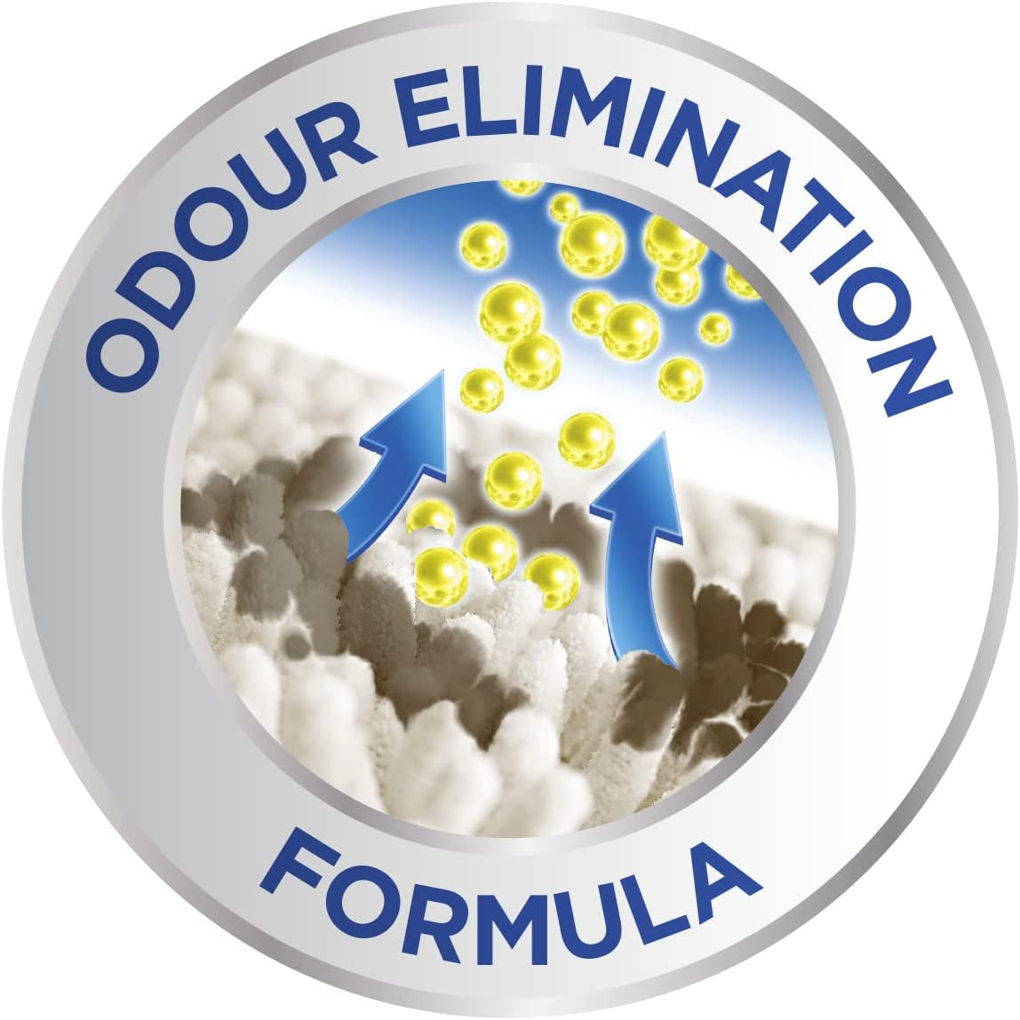 Pet Stain & Odour Remover, Eliminates Stains and Odours Caused by Pets, Incl. Applicator Brush, 650 Ml