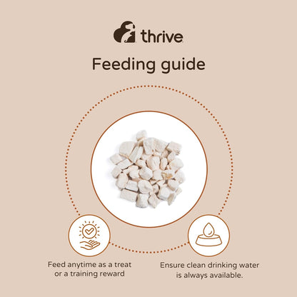 Cat 100% CHICKEN CAT TREATS Maxitube, 170G