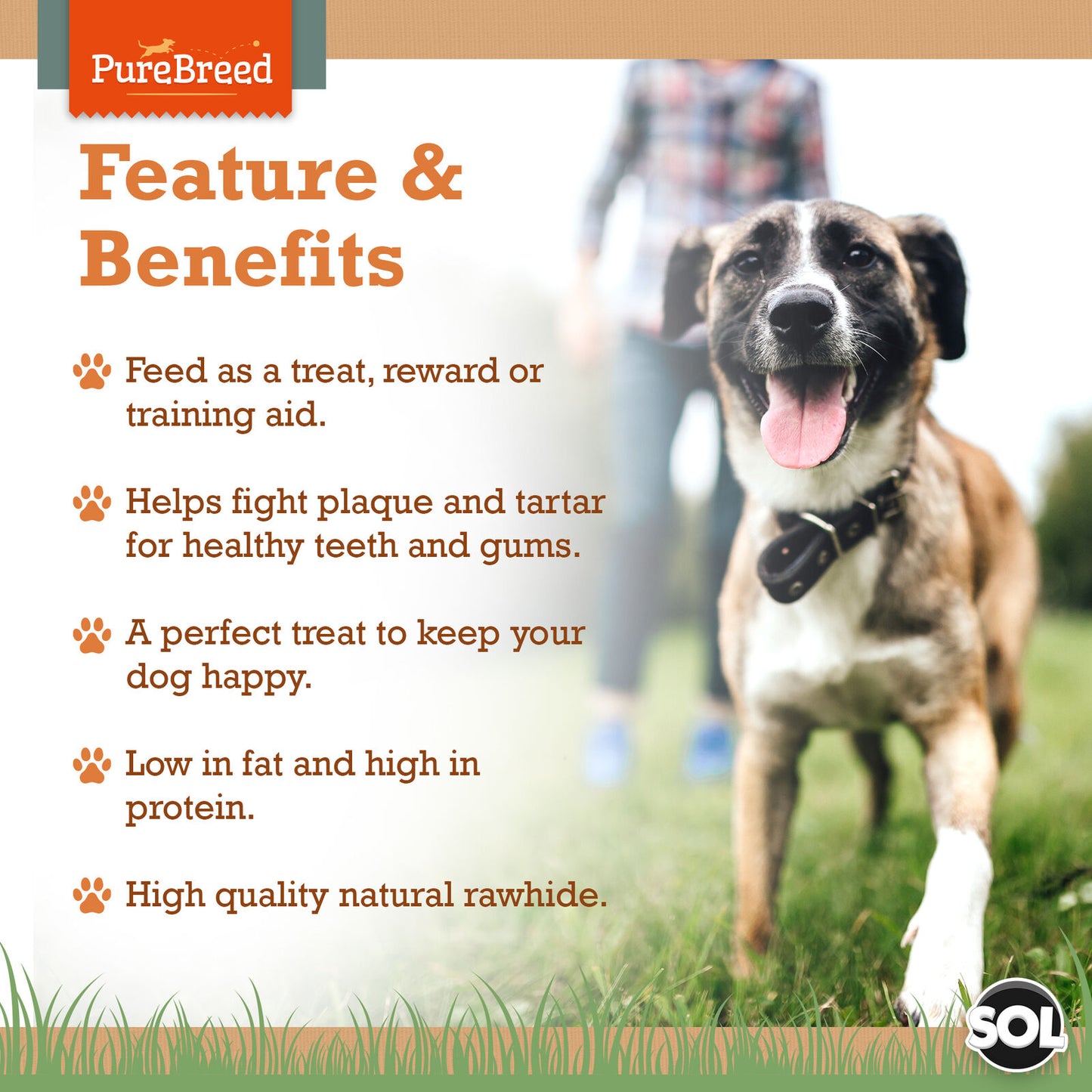 50Pk Dog Chews Treats Rawhide Twists Sticks Wrapped in Chicken Meat Healthy Food