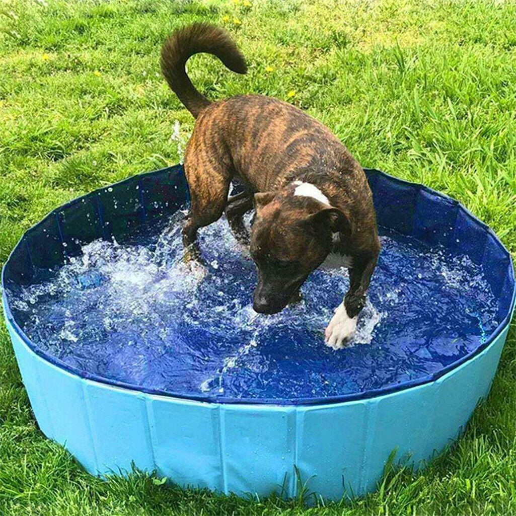 Large Pet Bath Pool Foldable Swimming Pool Dog Paddling Bathing Washer Tub Cool