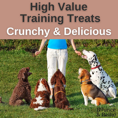 Grain-Free Dog Training Treats – 2 Pack: Poultry (2 X 500G, 1000G Total) | Crunchy, Hypoallergenic Bites for Training & Sensitive Stomachs |