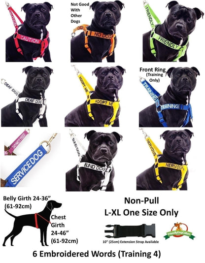 Non Pull Harness SERVICE DOG Blue Safety Heavy Duty Secure Harness or Lead Set