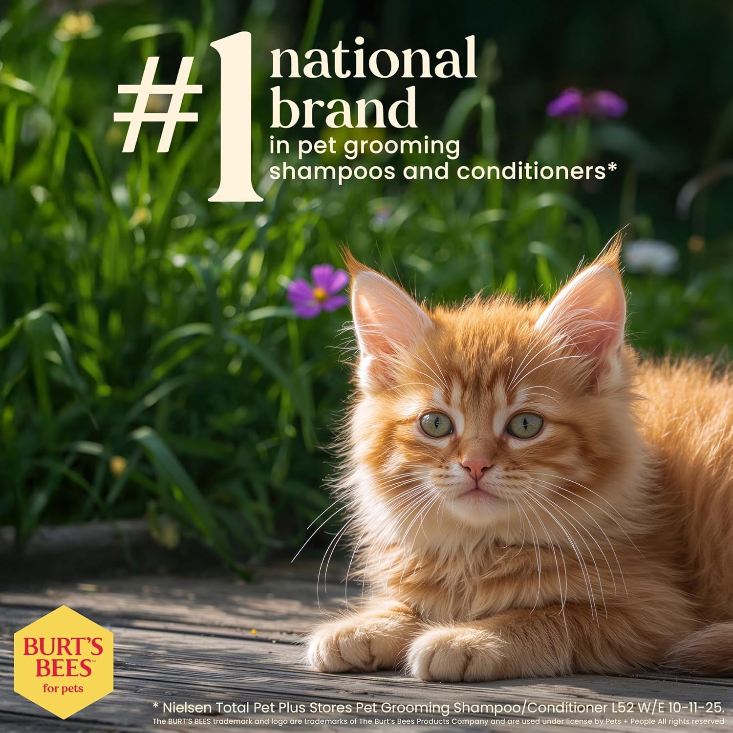 Naturally Derived Kitten Tearless Shampoo with Buttermilk, Cat Shampoo, Kitten Shampoo for Cats - Cat Grooming Supplies, Cat Bath Supplies, 10 Fl Oz