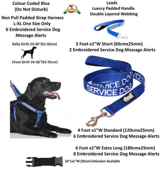 Non Pull Harness SERVICE DOG Blue Safety Heavy Duty Secure Harness or Lead Set