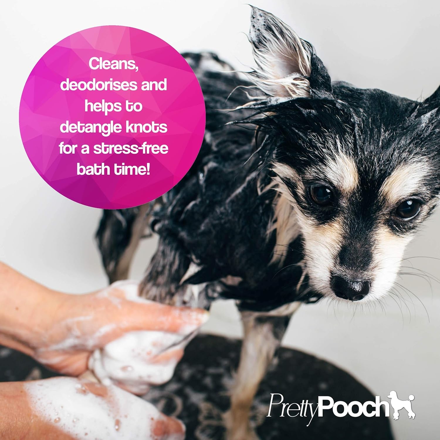 ® Gentle Touch Dog Shampoo & Conditioner - 2 Litres (Baby Powder Fragrance) - a Non-Itchy, Professional Deep Cleaning Shampoo for Dogs with Sensitive Skin! (2 Litre Baby Powder)