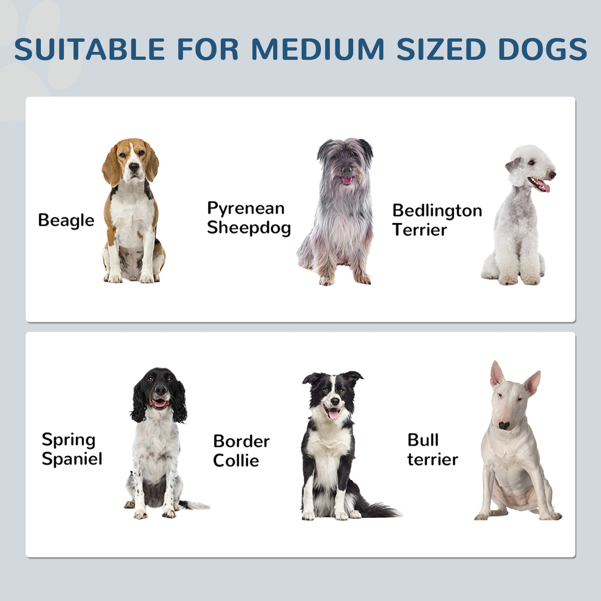 Dog Feeding Station with Storage, Pet Feeding Station with Dog Bowls, Black