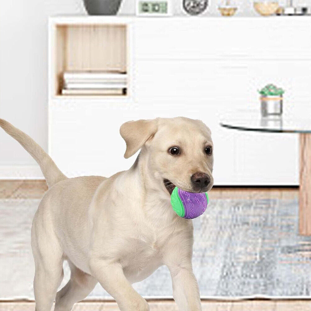 Scooby-Doo Durable Squeaky Set of 8 Dog Balls for Teeth Cleaning Interactive