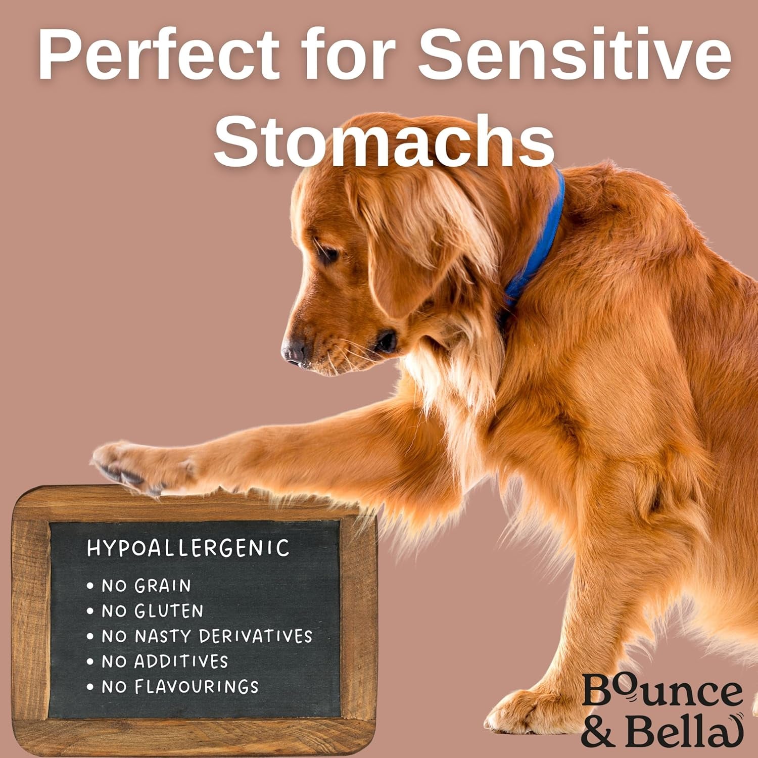 Grain-Free Dog Training Treats – 2 Pack: Poultry (2 X 500G, 1000G Total) | Crunchy, Hypoallergenic Bites for Training & Sensitive Stomachs |