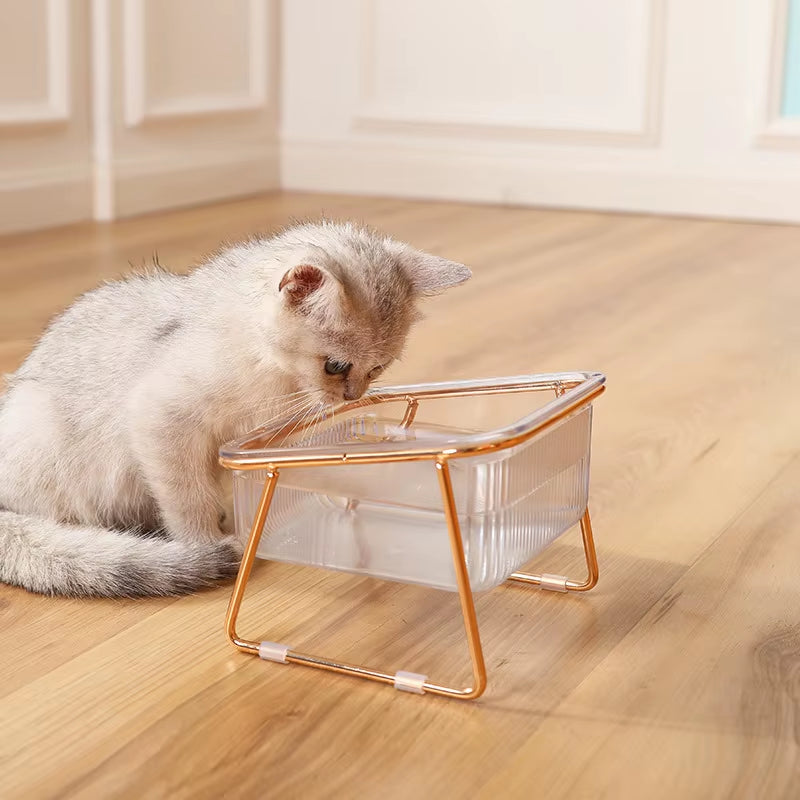Pet Double Bowl Transparent High Foot Cat Bowl Drink Water Cat Food with Golden Stand Raised Water Feeder Dog Bowl Supplies