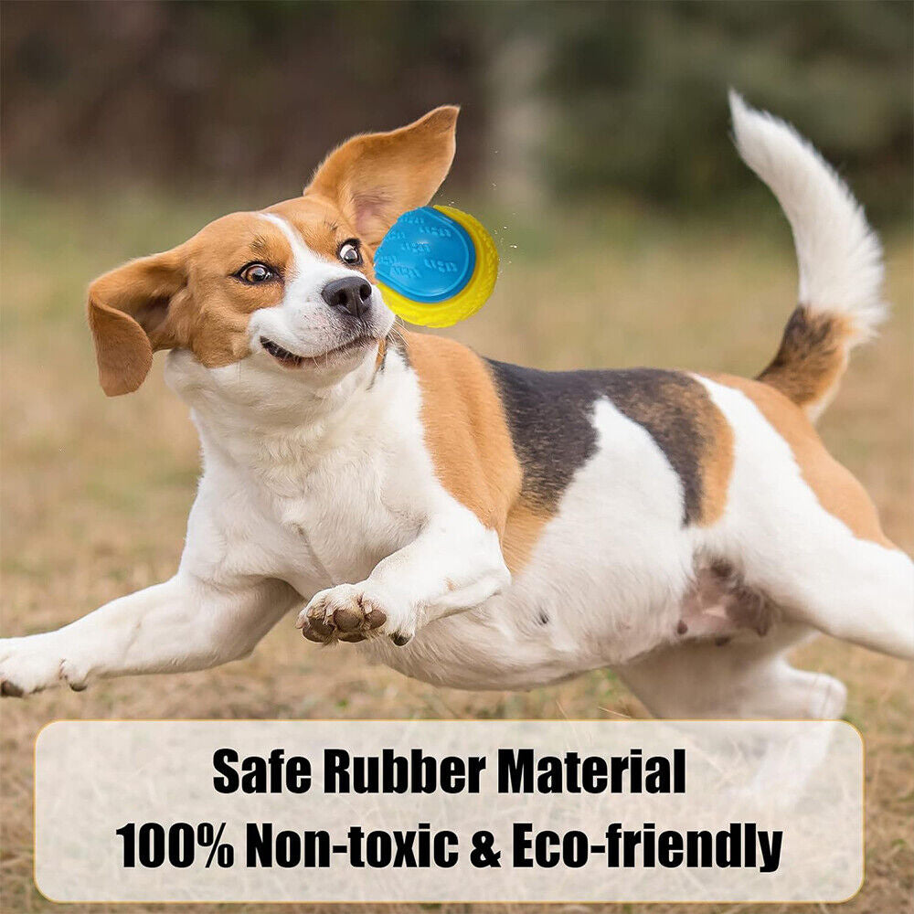 Scooby-Doo Durable Squeaky Set of 8 Dog Balls for Teeth Cleaning Interactive