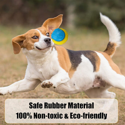 Scooby-Doo Durable Squeaky Set of 8 Dog Balls for Teeth Cleaning Interactive