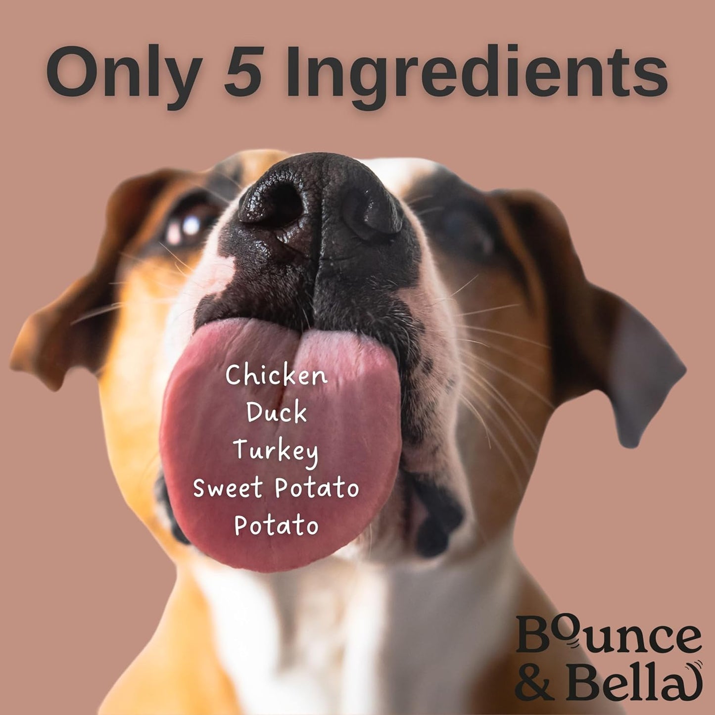 Grain-Free Dog Training Treats – 2 Pack: Poultry (2 X 500G, 1000G Total) | Crunchy, Hypoallergenic Bites for Training & Sensitive Stomachs |