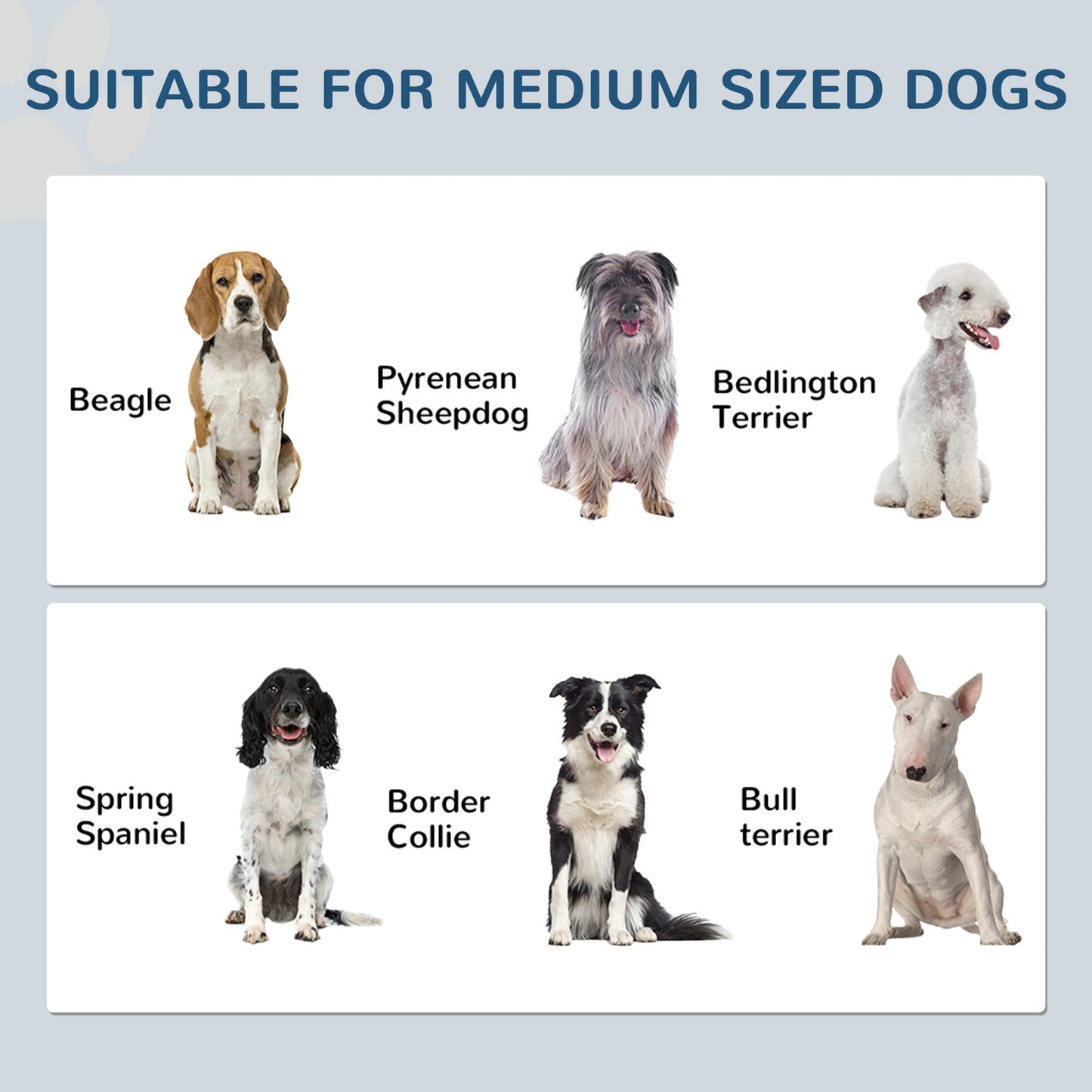Dog Feeding Station with Storage, Pet Feeding Station with Dog Bowls, Black