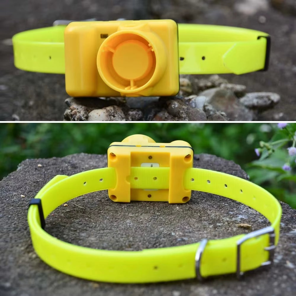 Waterproof Hunting Dog Beeper Collars Rechargeable Dog Training Collar 8 Built-In Beeper Sound for Sports Training Dogs