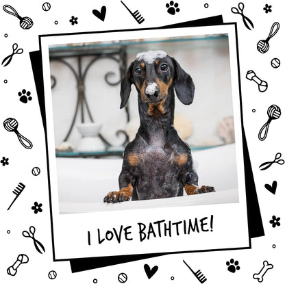 Dog Shampoo and Conditioner with Luxury 2 in 1 Papaya & Coconut Fragrance, Professional Puppy Shampoo Grooming Products for Smelly Dogs