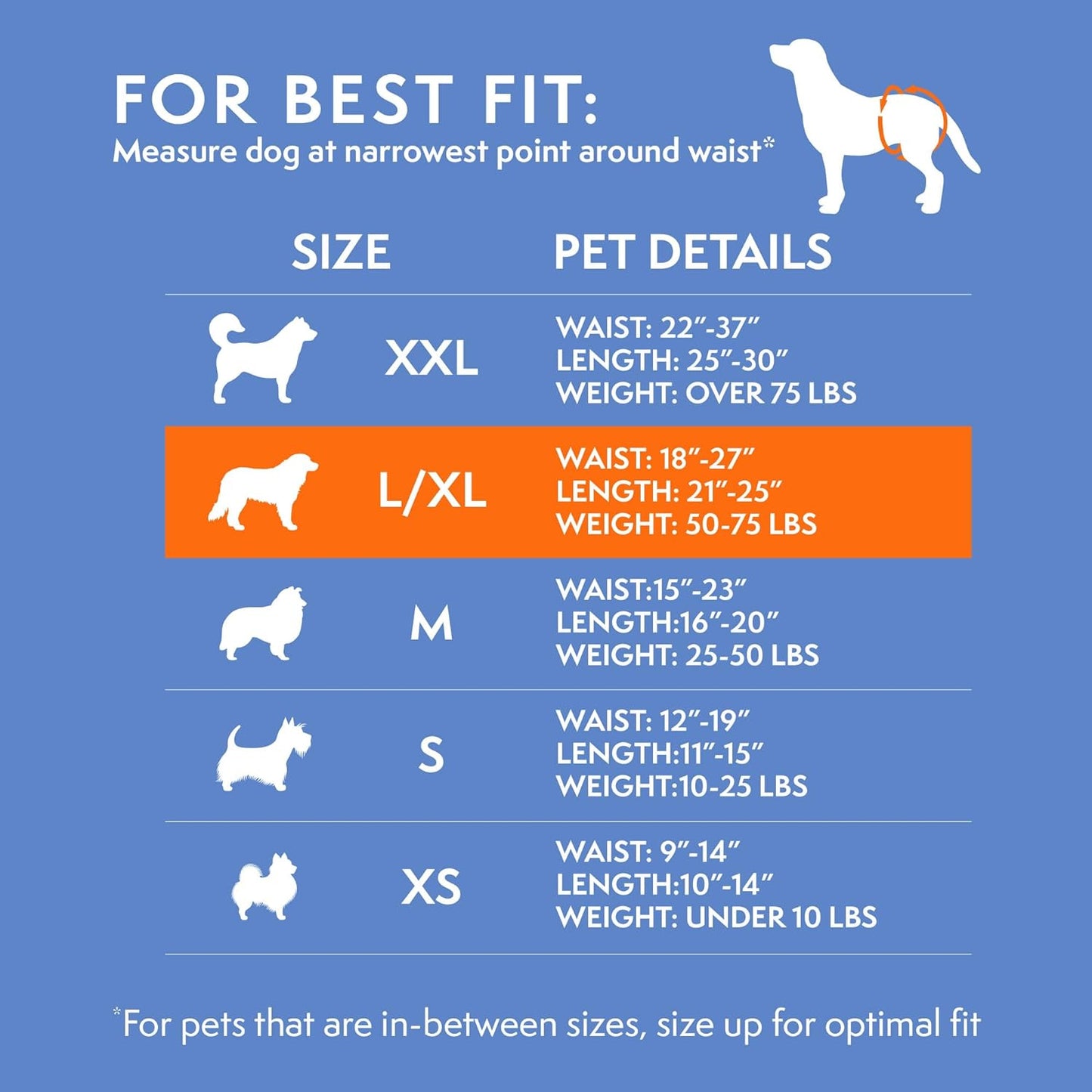 True Fit Disposable Dog Diapers for Female Dogs | Super Absorbent with Wetness Indicator | 30 Count, White, L/XL