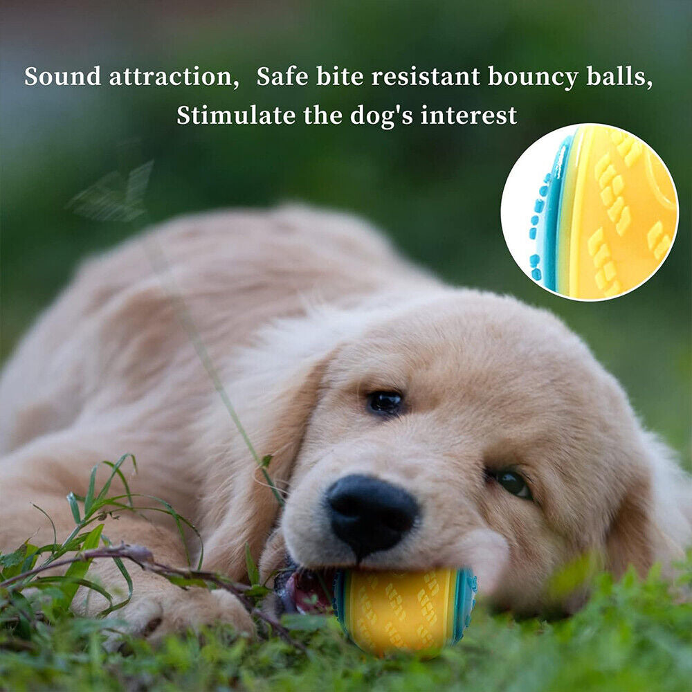 Scooby-Doo Durable Squeaky Set of 8 Dog Balls for Teeth Cleaning Interactive