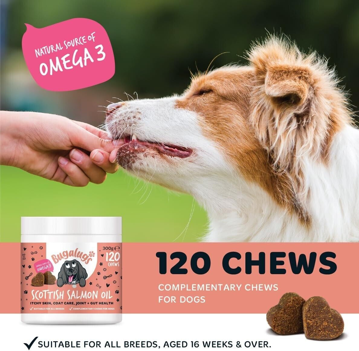 Bugalugs 100% Pure Salmon Oil for Dogs, Cats & Pets 500Ml, Healthy Skin & Coat