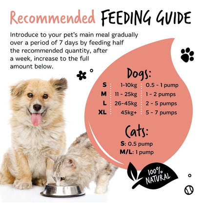 Bugalugs 100% Pure Salmon Oil for Dogs, Cats & Pets 500Ml, Healthy Skin & Coat