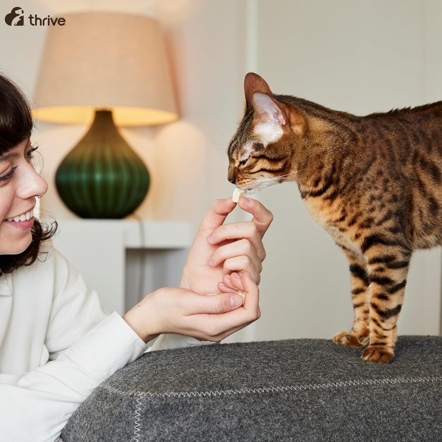 Cat 100% CHICKEN CAT TREATS Maxitube, 170G