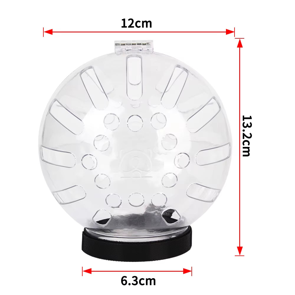 Cat Muzzle Anti-Bite Breathable Cat Grooming Supplies Grooming Mask Bath Grooming Anti-Licking Protective Space Hood